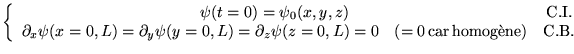% latex2html id marker 15020
$\displaystyle \left\{ \begin{array}{cc}
\psi (t=0)...
...mog}\grave{\mathrm{e}}\mathrm{ne}) & \mathrm{C}.\mathrm{B}.
\end{array}\right. $
