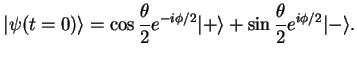 $\displaystyle \vert\psi (t=0)\rangle =\cos \frac{\theta }{2}e^{-i\phi /2}\vert+\rangle +\sin \frac{\theta }{2}e^{i\phi /2}\vert-\rangle .$