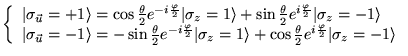 % latex2html id marker 5946
$\displaystyle \left\{ \begin{array}{l}
\vert\sigma ...
...heta }{2}e^{i\frac{\varphi }{2}}\vert\sigma _{z}=-1\rangle
\end{array}\right. $